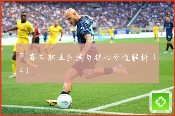 F1赛车职业生涯与核心价值解析（4）