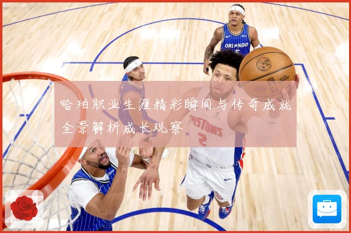 哈珀职业生涯精彩瞬间与传奇成就全景解析成长观察