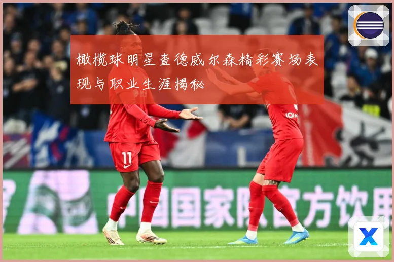 橄榄球明星查德威尔森精彩赛场表现与职业生涯揭秘