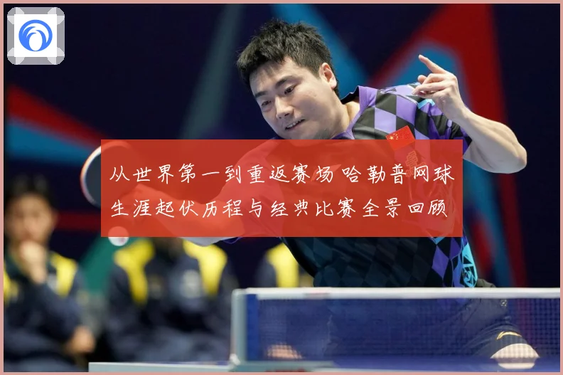 从世界第一到重返赛场 哈勒普网球生涯起伏历程与经典比赛全景回顾
