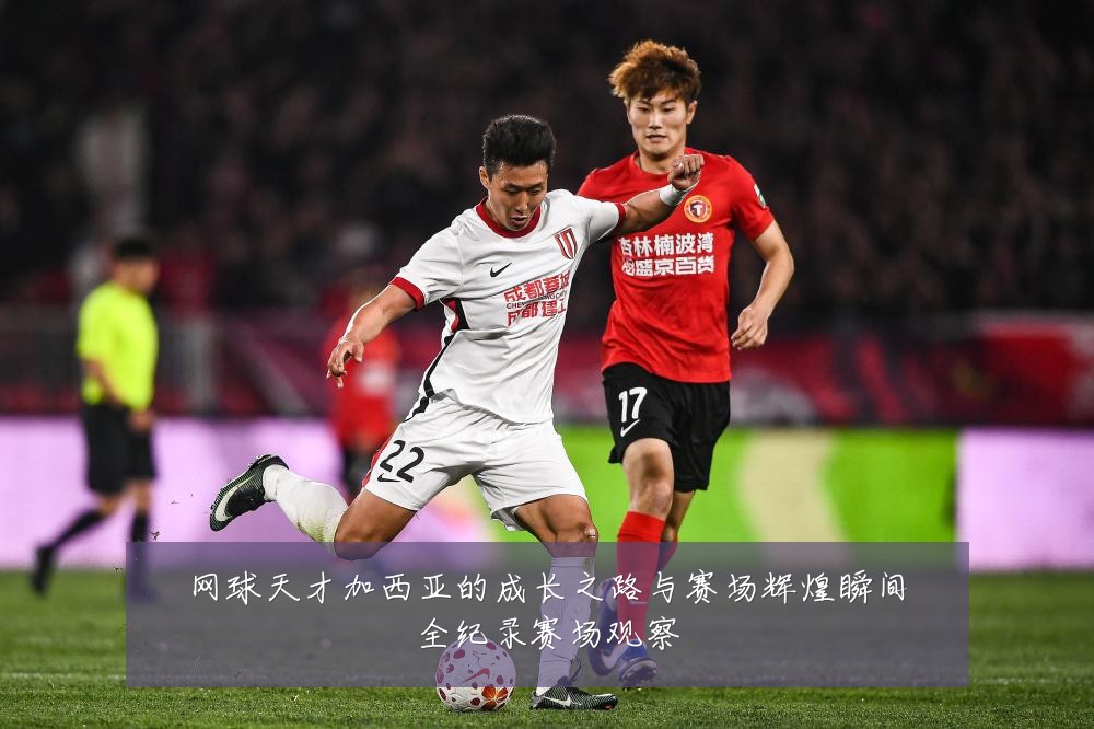 网球天才加西亚的成长之路与赛场辉煌瞬间全纪录赛场观察