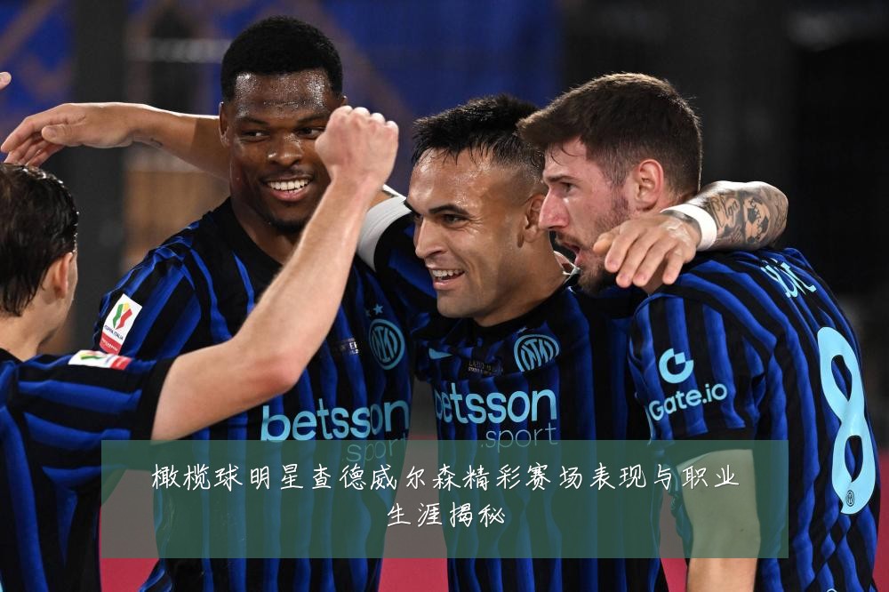 橄榄球明星查德威尔森精彩赛场表现与职业生涯揭秘